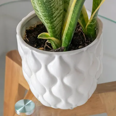 Lägenhet The Sisters' House Sorrento