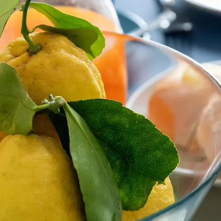 The Sisters' House *