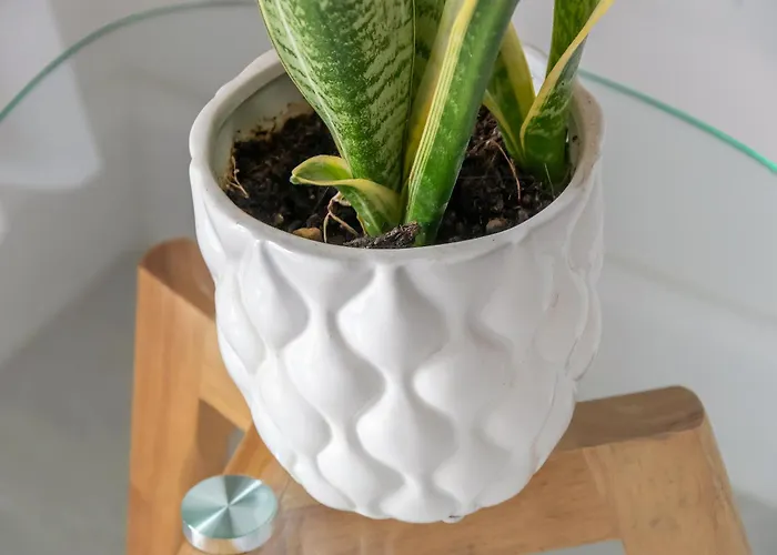 Appartement The Sisters' House Sorrento