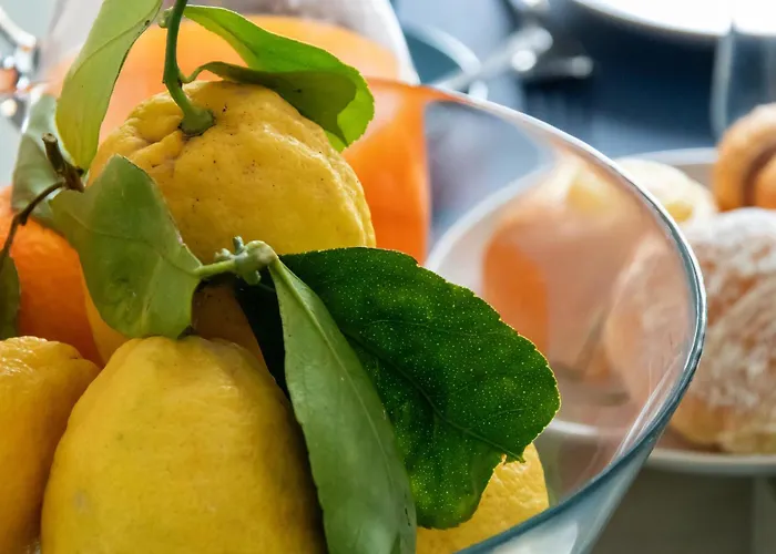 The Sisters' House *